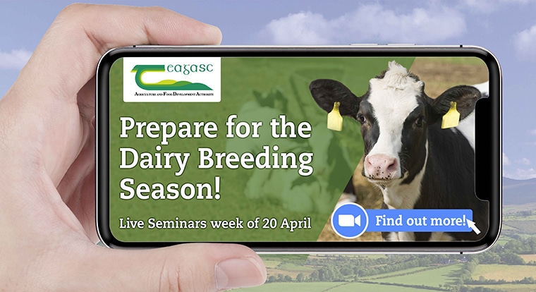 Teagasc online Dairy Breeding seminar series starts next week