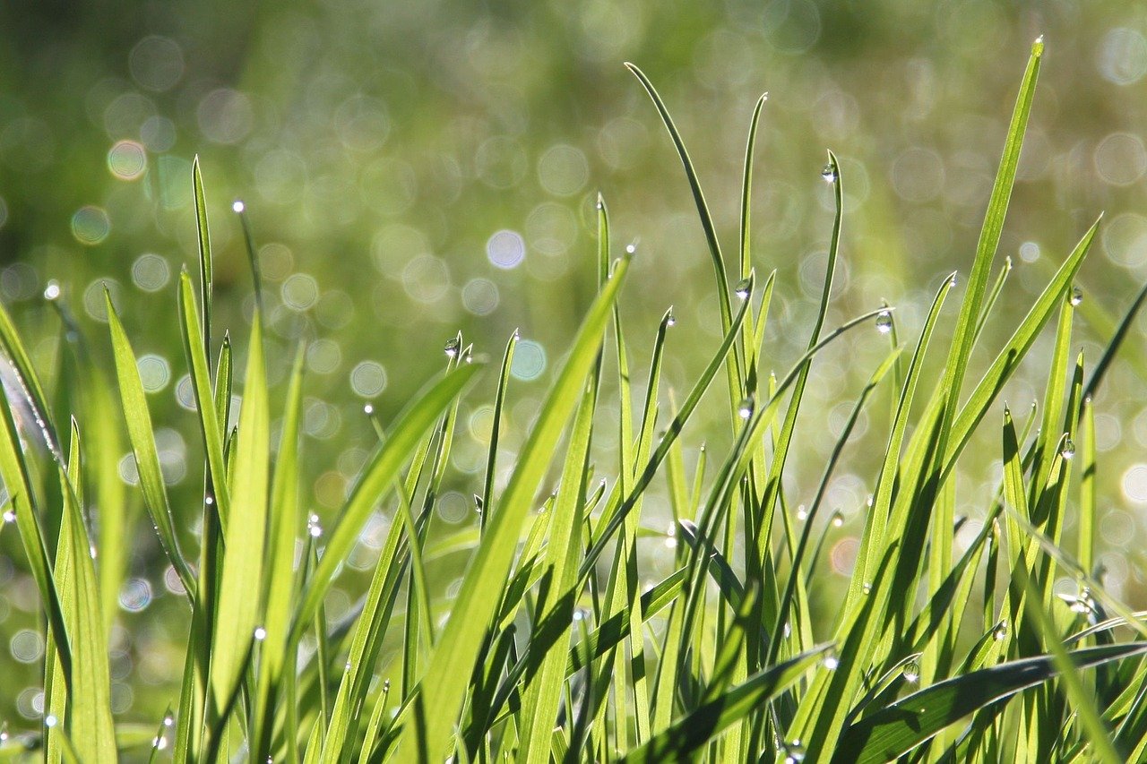 Famers reacting well to grass growth conditions