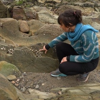 Explore the biodiversity of Cork’s seashore from home