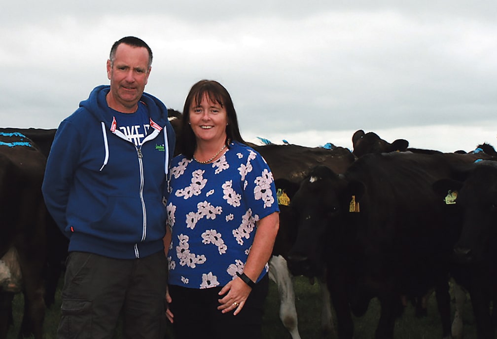 A West Cork Farm experience