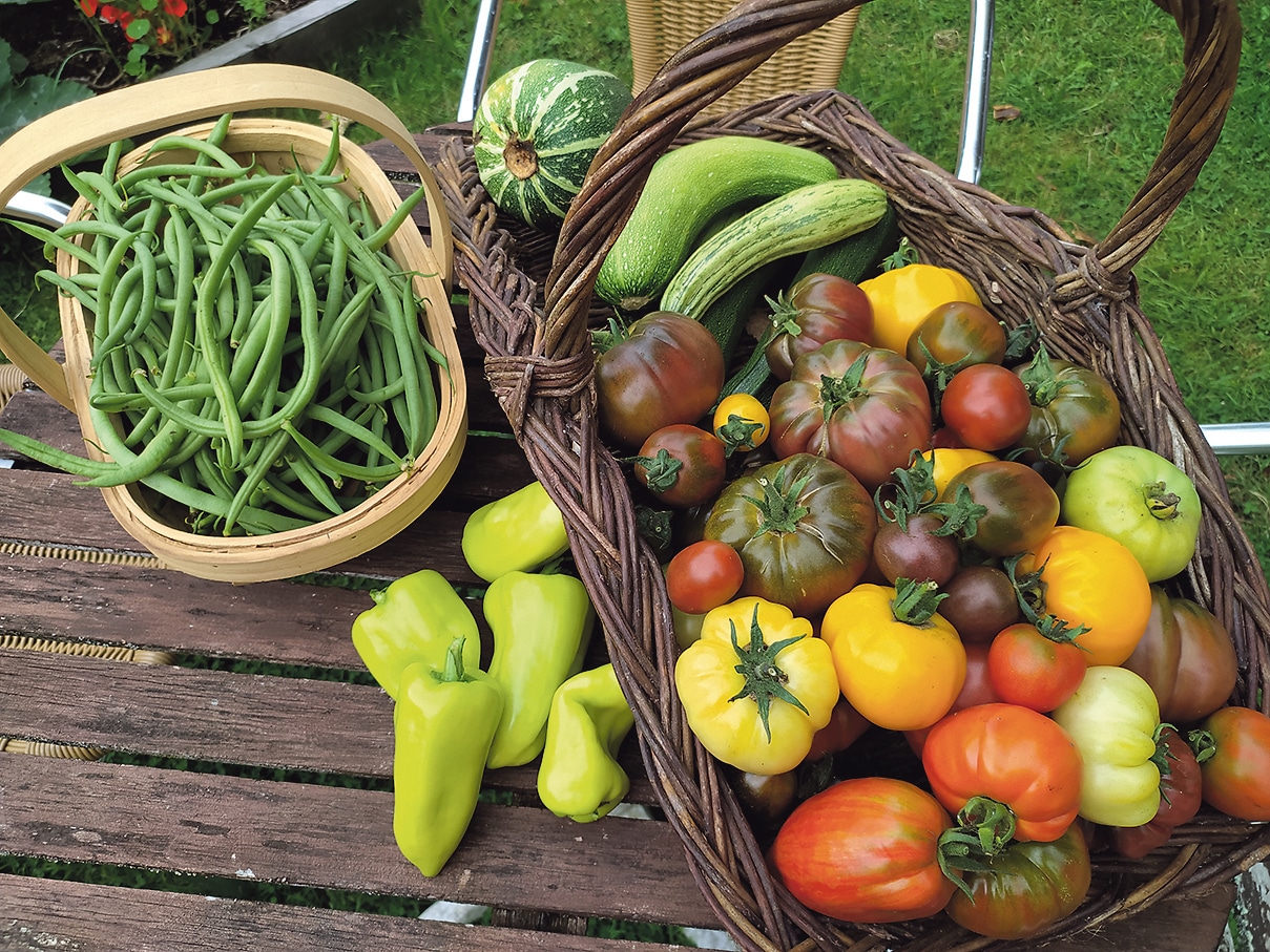 Mixed weather conditions bode well for autumn glut in the garden