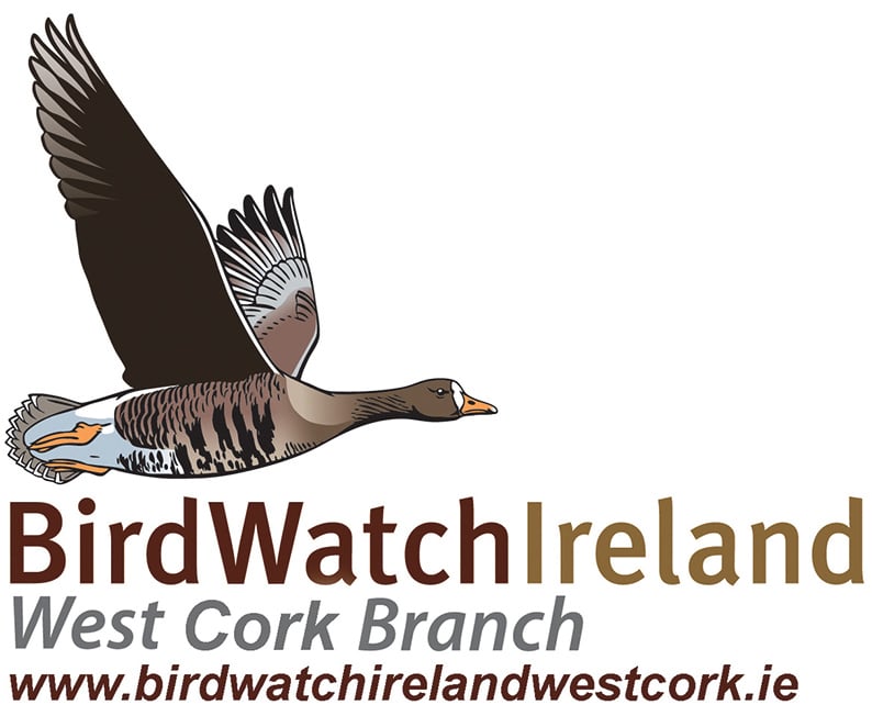 Feeding garden birds and the Irish Garden Bird Survey