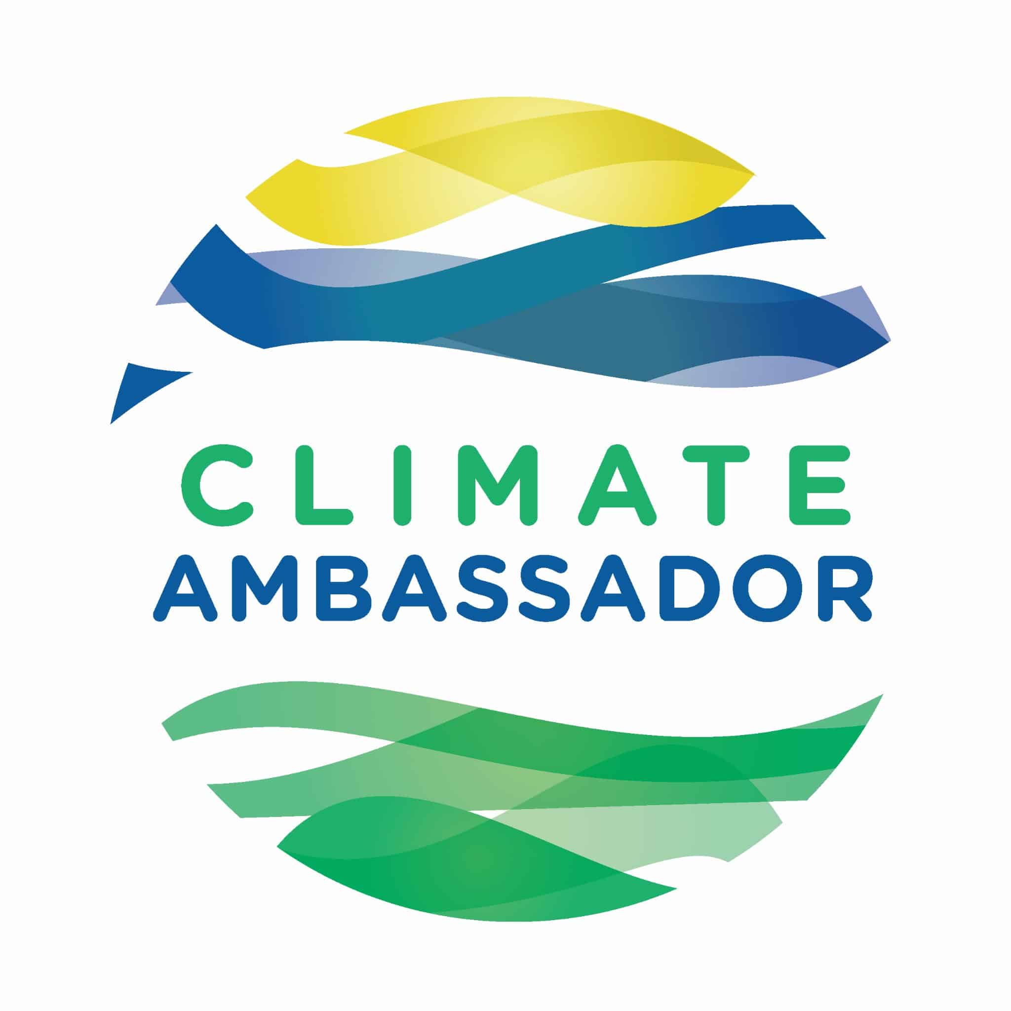 Three West Cork Climate Ambassadors awarded Outstanding Achievement in 2020