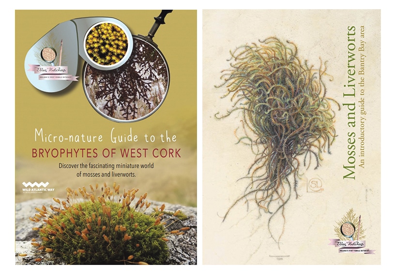 New book gives fascinating insight into the miniature world of mosses and liverworts