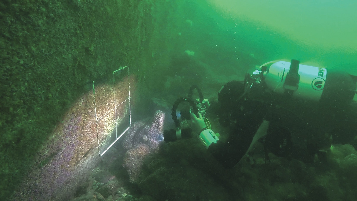 Researchers plumb the depths to solve Lough Hyne mystery