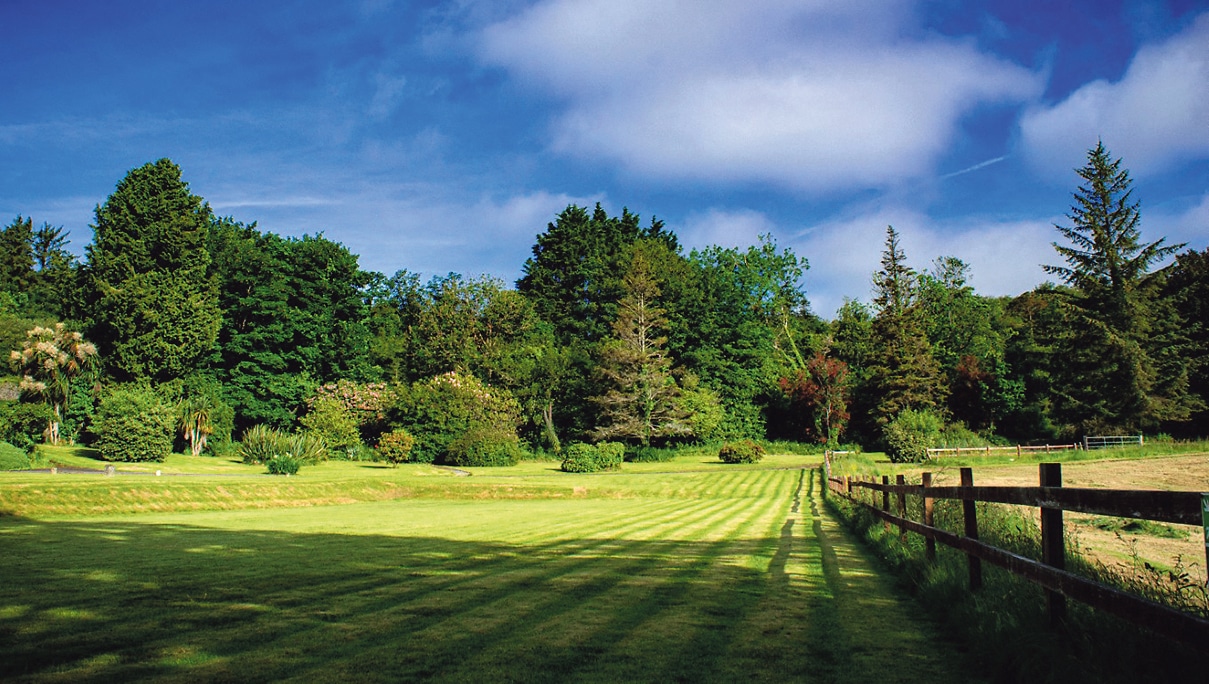 Green Skibbereen secure woodland funding for restoration of historic Myross Wood