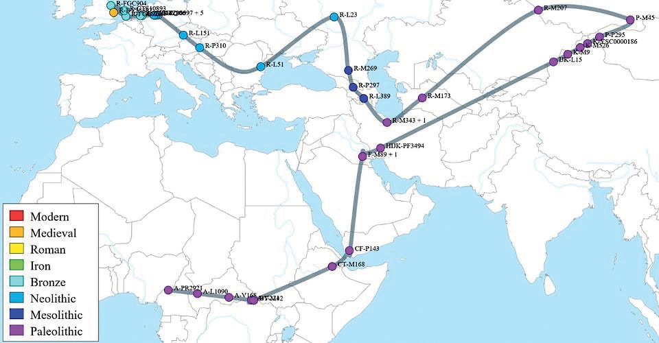 DNA testing for tracing your heritage