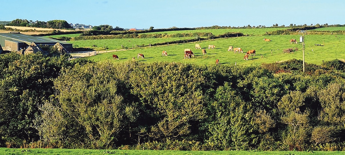 Irish farmers ready to rise to the challenges ahead