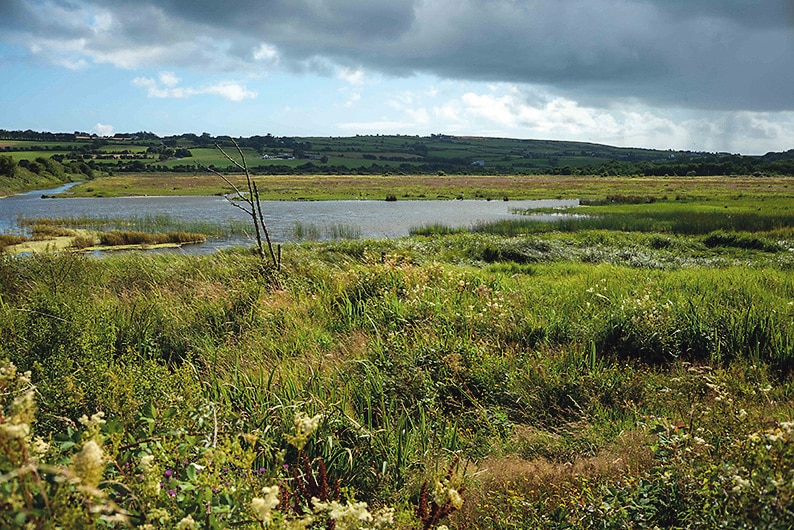 Public invited to get involved in developing a new wildlife centre for Clon