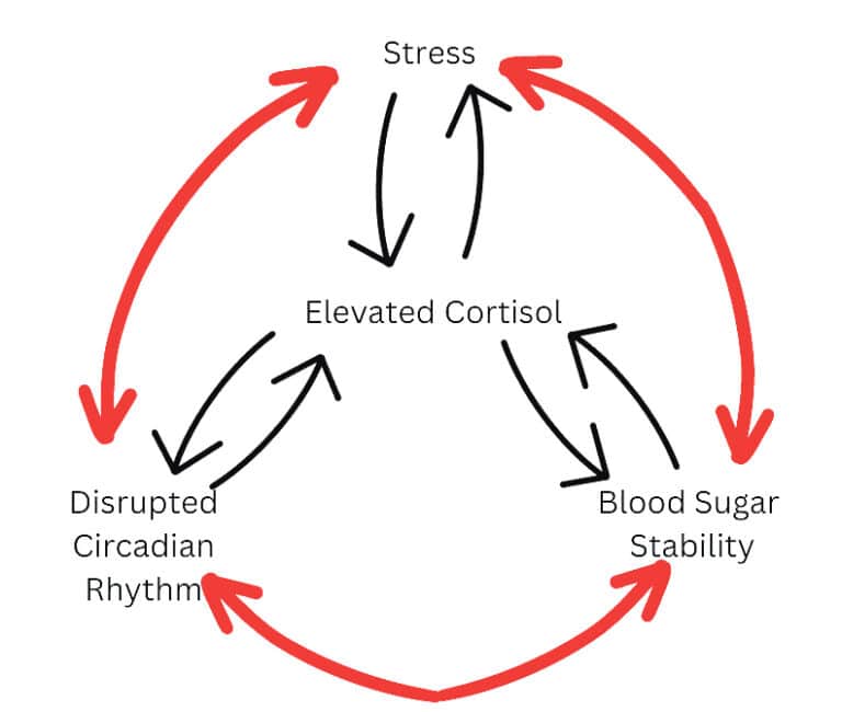 Blood sugar stability, circadian rhythm and stress West Cork People