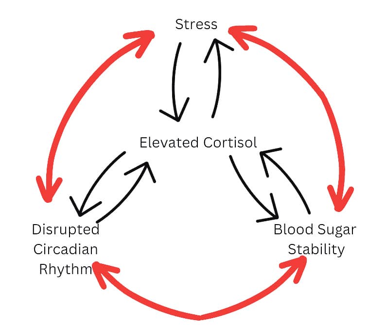 Blood sugar stability, circadian rhythm and stress