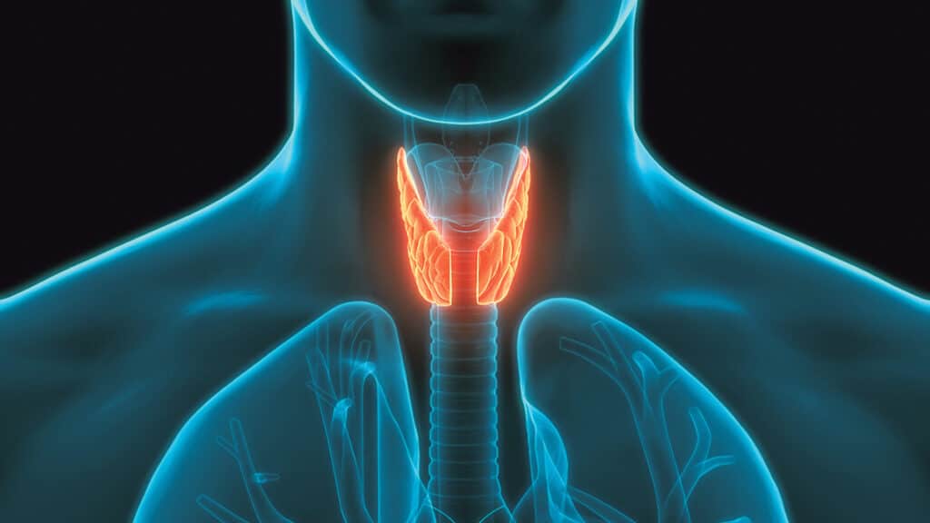 four-ways-hypothyroidism-affects-gut-health-west-cork-people