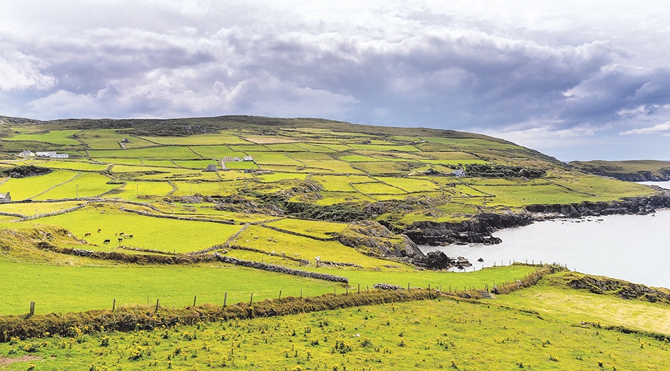 LEADER may return to West Cork