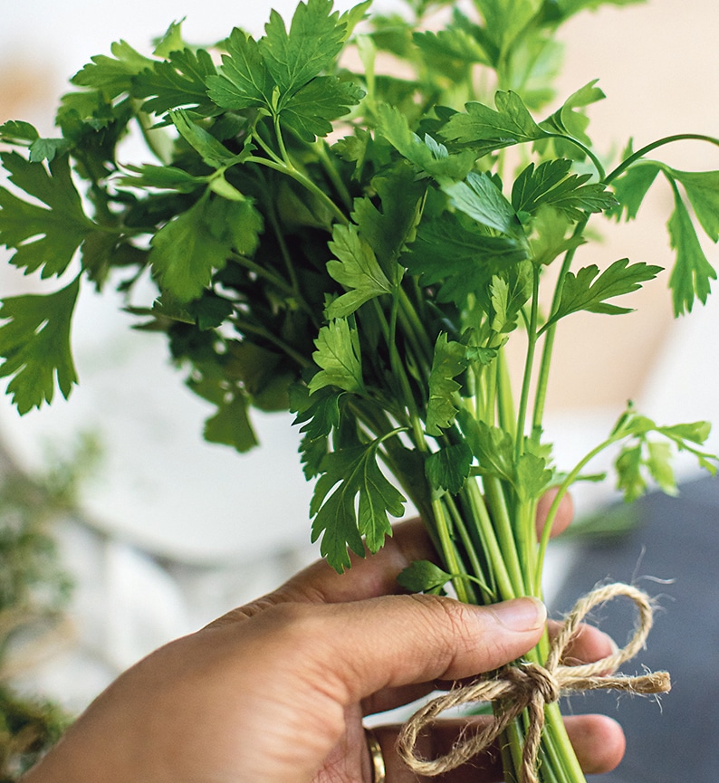 The power of parsley