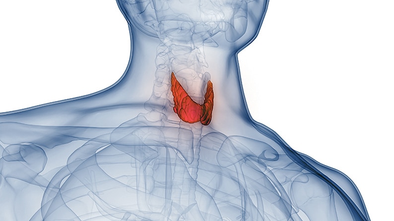 Fertility series: Thyroid dysfunction and how it affects female fertility