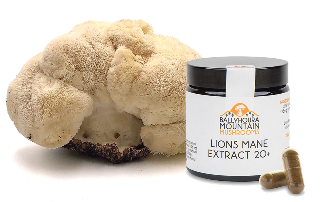 The health benefits of Lion’s Mane mushroom