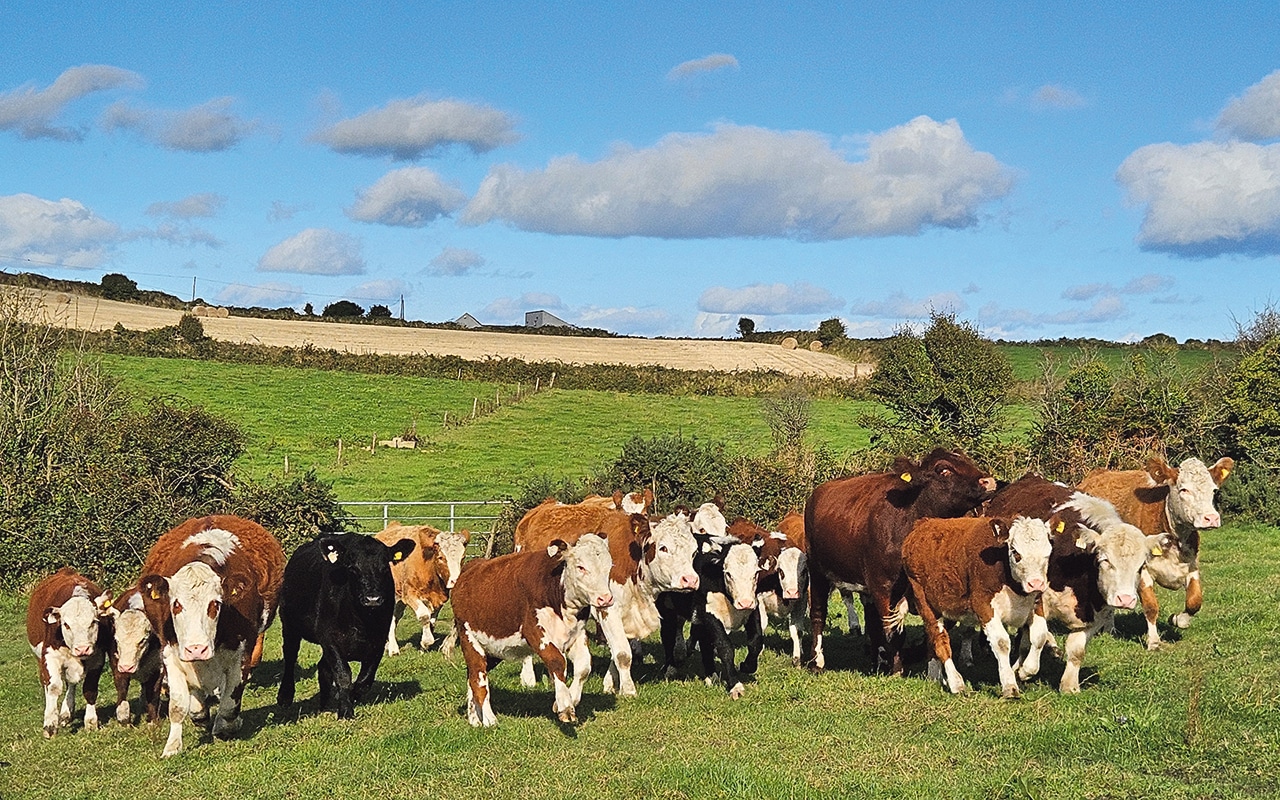 Challenging year of weather pushes farmers into early winter routine