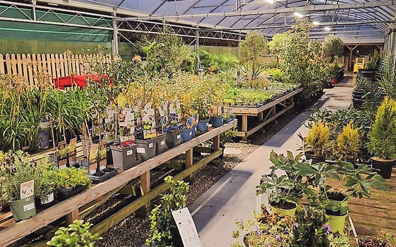 Skibbereen Garden Centre blossoms into a community hub