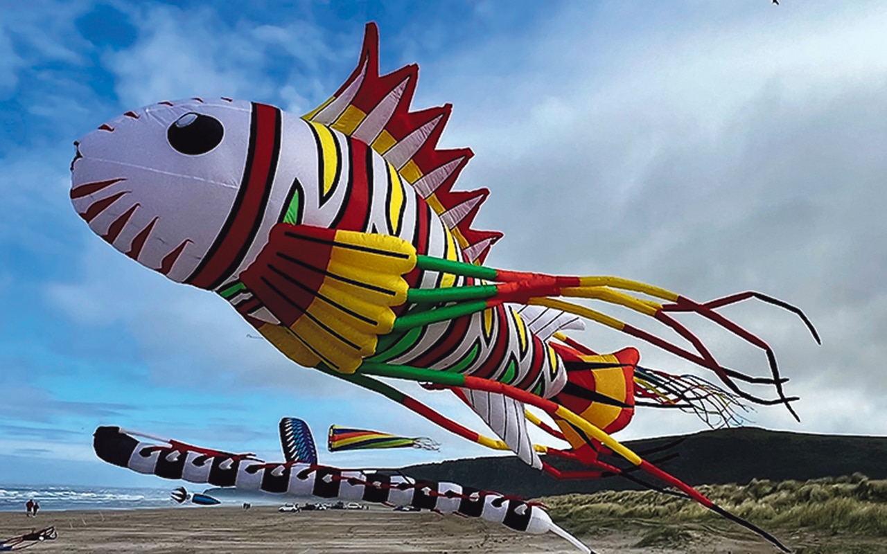 ‘Ninth Wave’ of Kinsale Arts Weekend embraces creative freedom