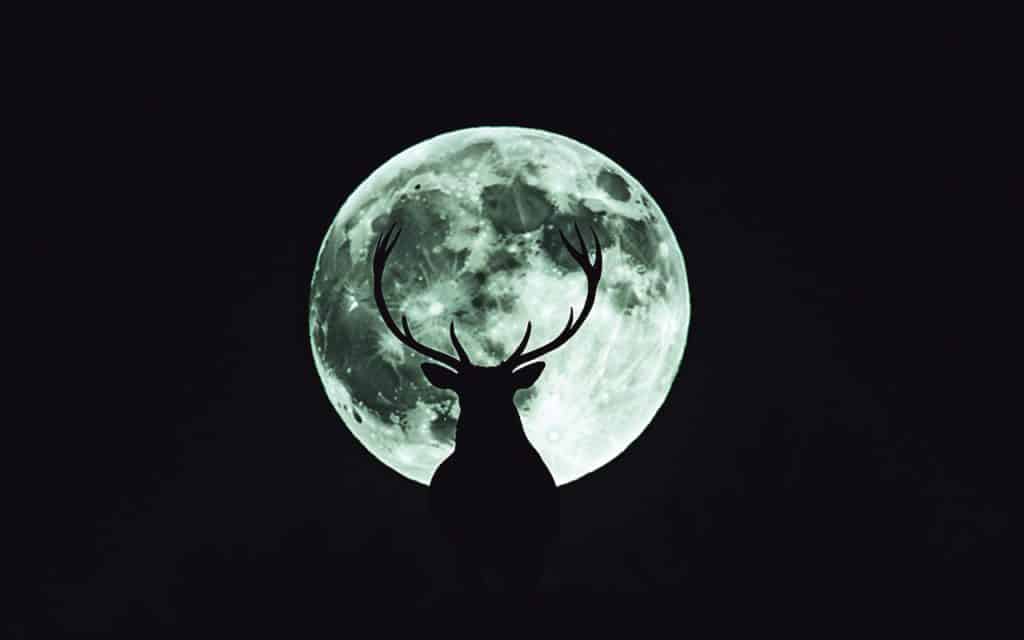 Deer silhouette against a large, green moon at night.