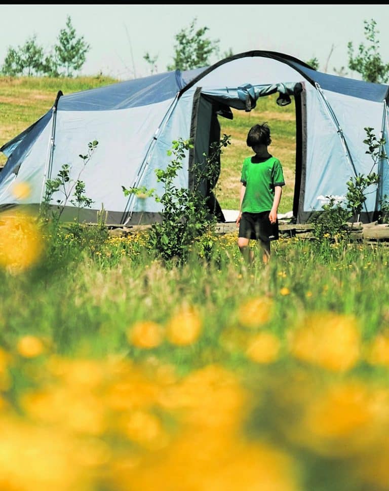 Gift a skill this Christmas