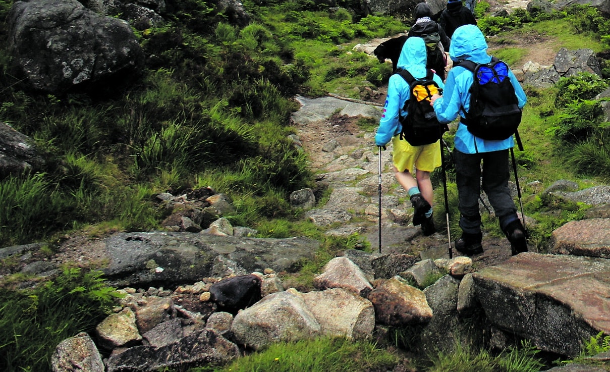 Reset and renew in 2026