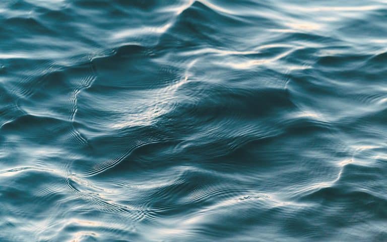 Loving kindness to soften hard days