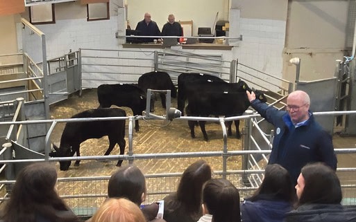 The importance of community in farming