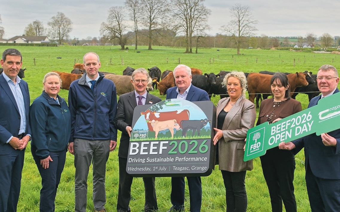 Beef farmers encouraged to focus on future-proofing their business