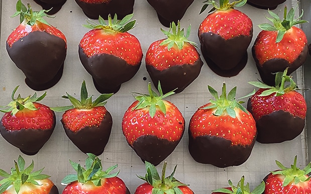 Strawberry season in West Cork