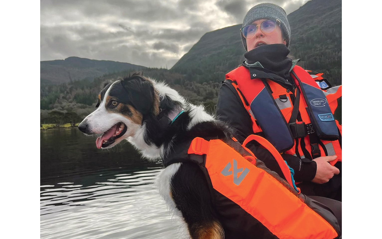 Ireland’s new search and rescue dogs looking for people to join their team