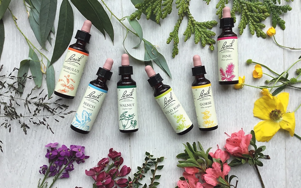 Bach flower remedies and your health