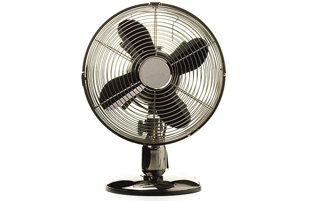 The Irish heatwave